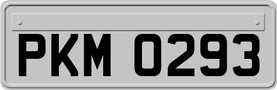 PKM0293