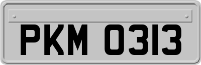 PKM0313