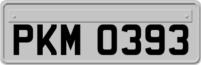 PKM0393