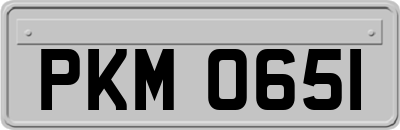 PKM0651