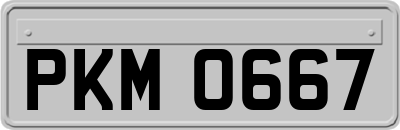 PKM0667
