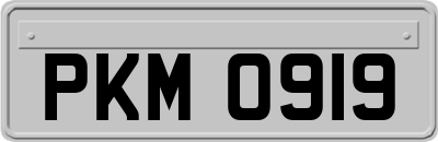 PKM0919
