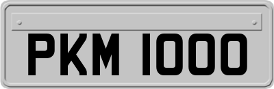 PKM1000