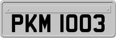PKM1003
