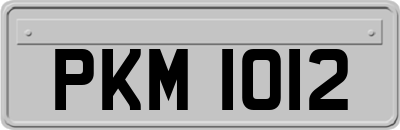 PKM1012