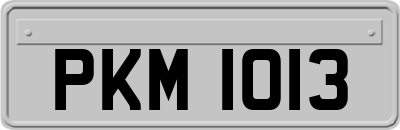 PKM1013