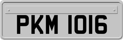 PKM1016
