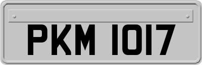 PKM1017