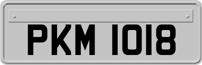 PKM1018