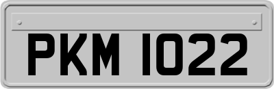PKM1022