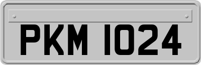PKM1024