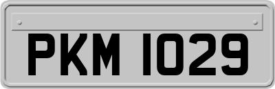 PKM1029