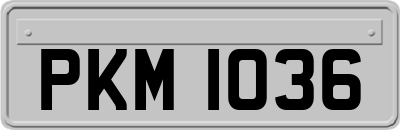 PKM1036