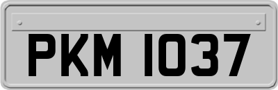 PKM1037