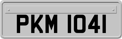 PKM1041