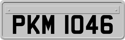 PKM1046