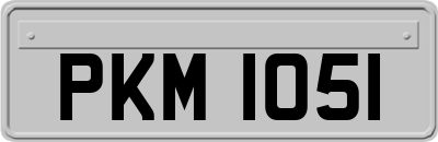 PKM1051