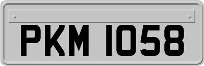 PKM1058
