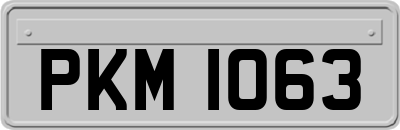 PKM1063