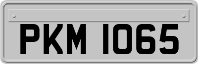 PKM1065