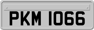 PKM1066