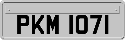 PKM1071