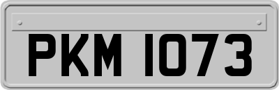 PKM1073