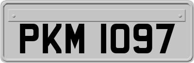 PKM1097