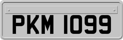 PKM1099