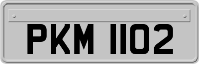 PKM1102