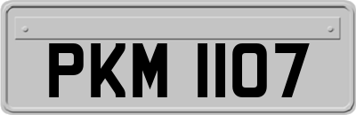 PKM1107