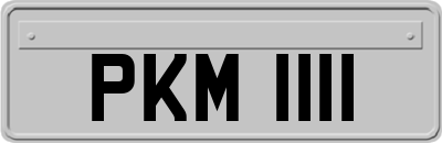 PKM1111