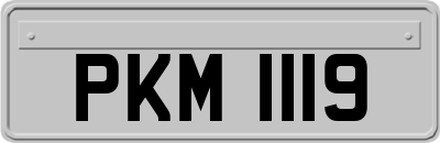 PKM1119