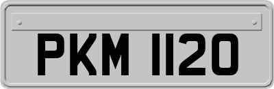 PKM1120
