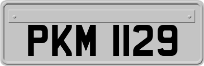 PKM1129