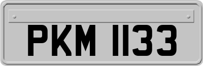 PKM1133