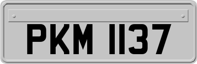 PKM1137