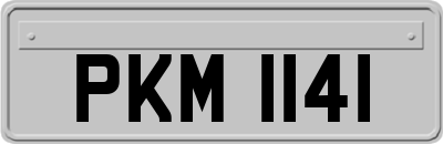 PKM1141