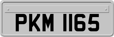 PKM1165