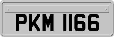 PKM1166