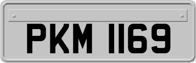 PKM1169