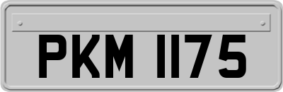 PKM1175