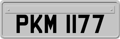 PKM1177