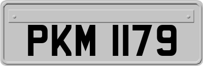 PKM1179