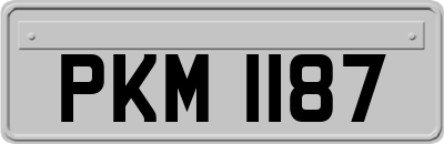 PKM1187