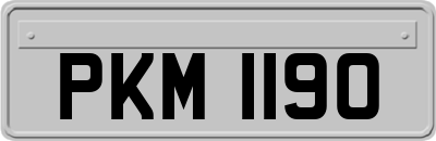 PKM1190
