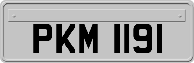 PKM1191