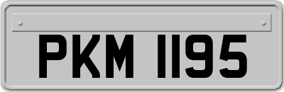 PKM1195