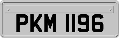 PKM1196