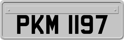 PKM1197